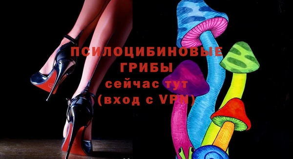 прущие крисы Абаза