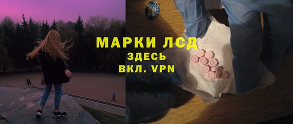 индика Корсаков