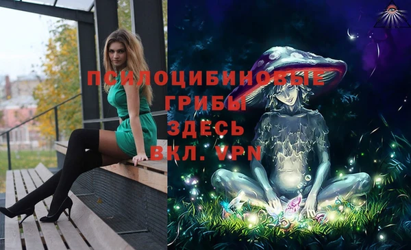 2c-b Костерёво