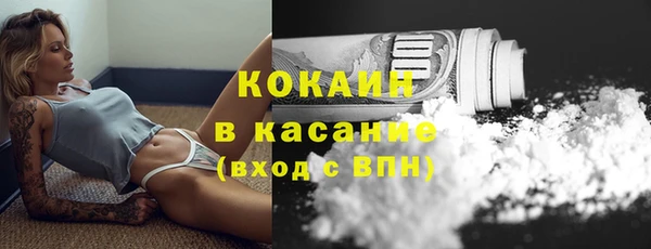 индика Корсаков