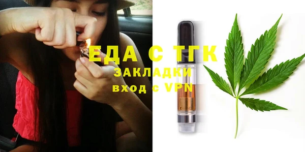 индика Корсаков