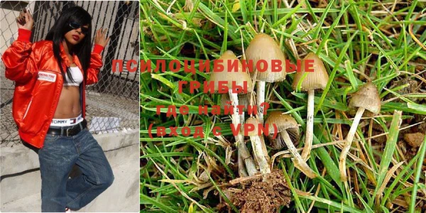 прущие крисы Абаза