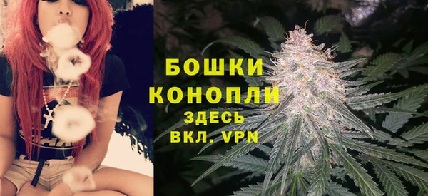 PSILOCYBIN Абдулино