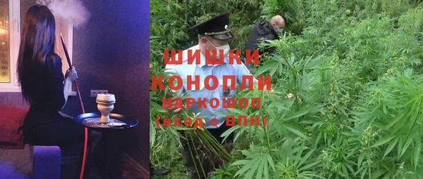прущие крисы Абаза