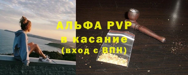 индика Корсаков