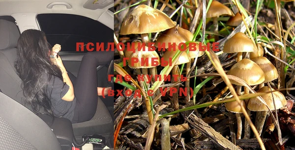 PSILOCYBIN Абдулино